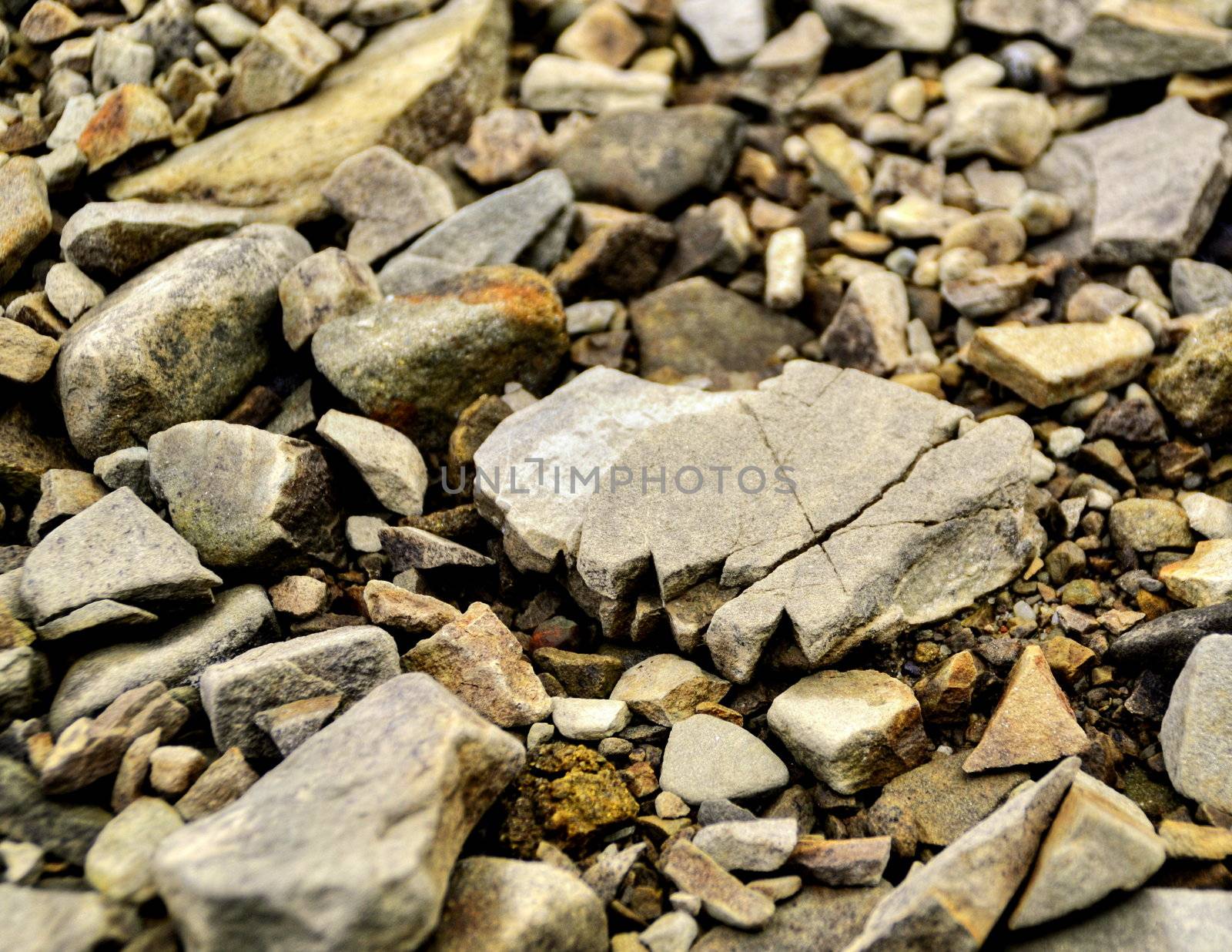 sandstone rocks on the beach