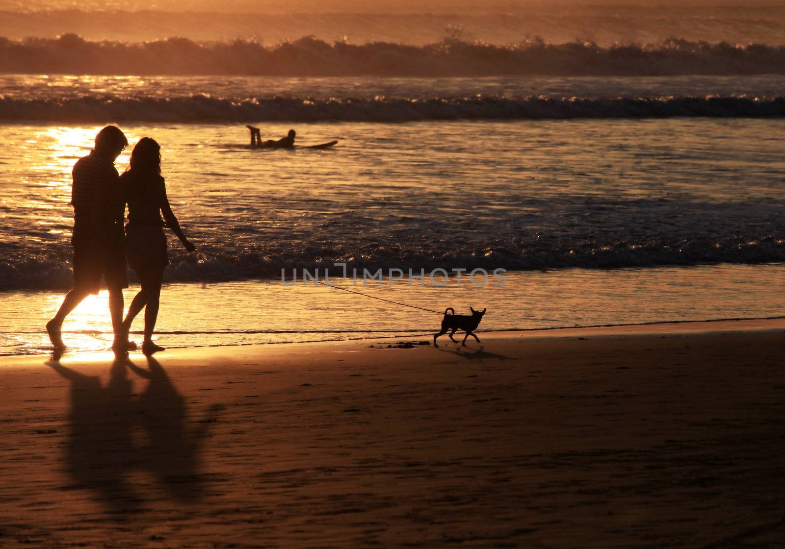 Couple with dog on sunset. Coast of the Indian ocean