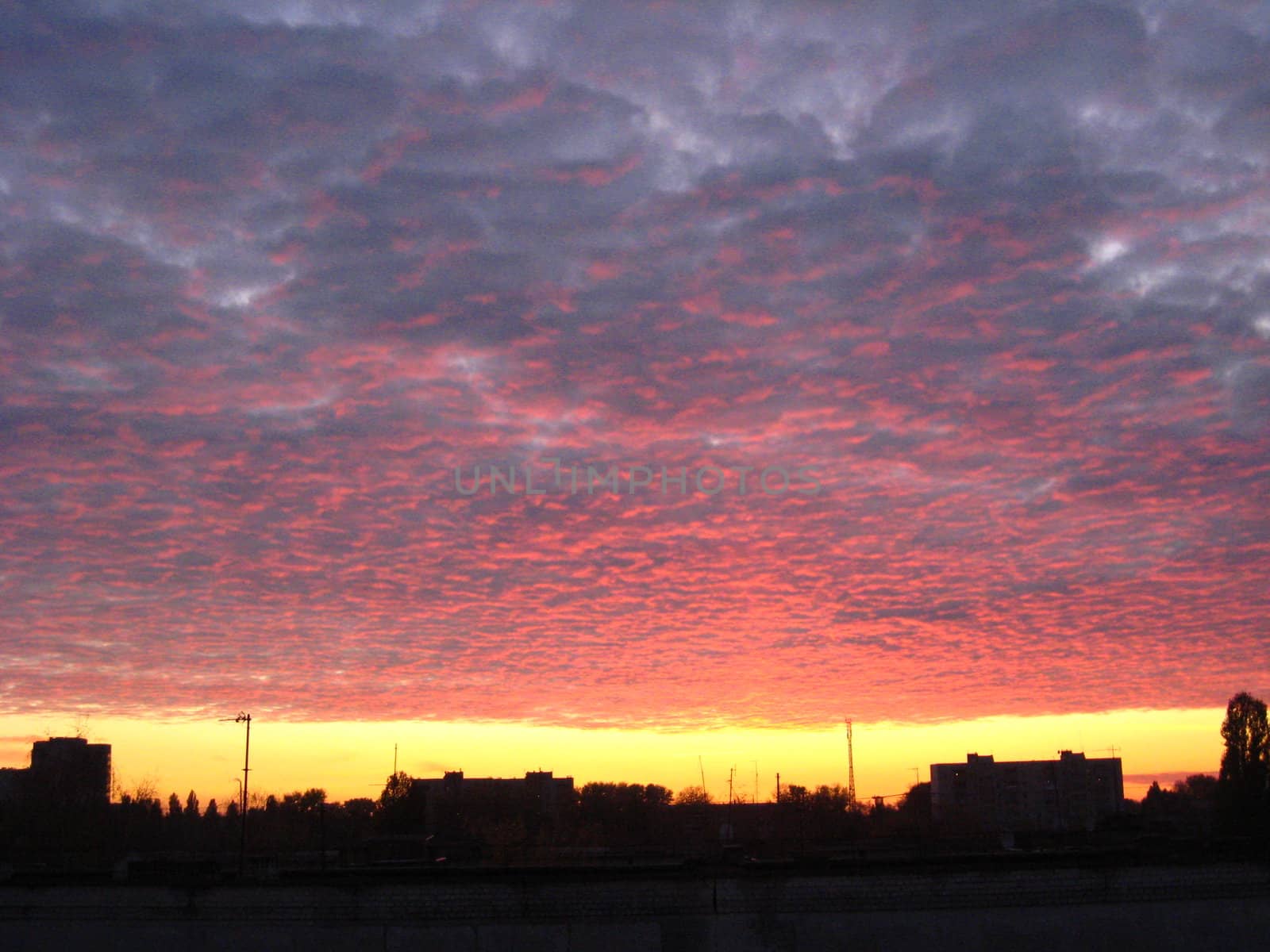 Everning view on the tops of the city and red clouds