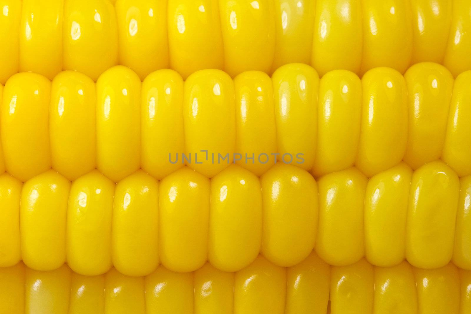 Sweet corn background