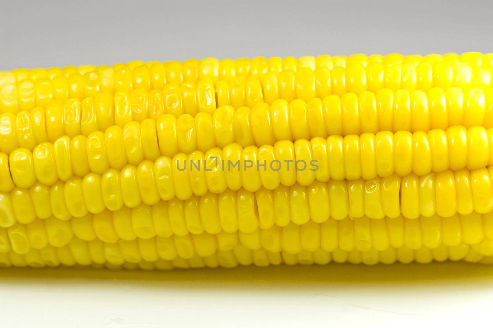 Close-up of Corn Cob