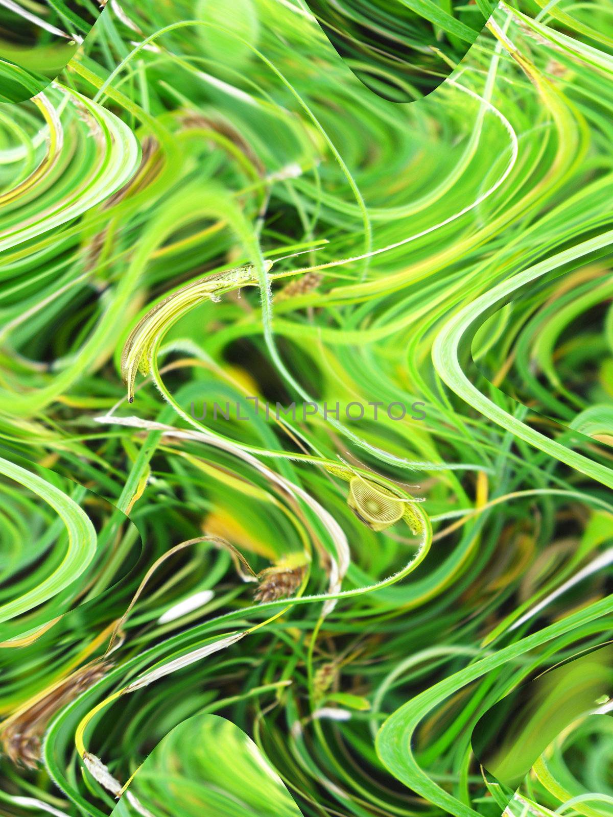 The image of green abstract background and texture