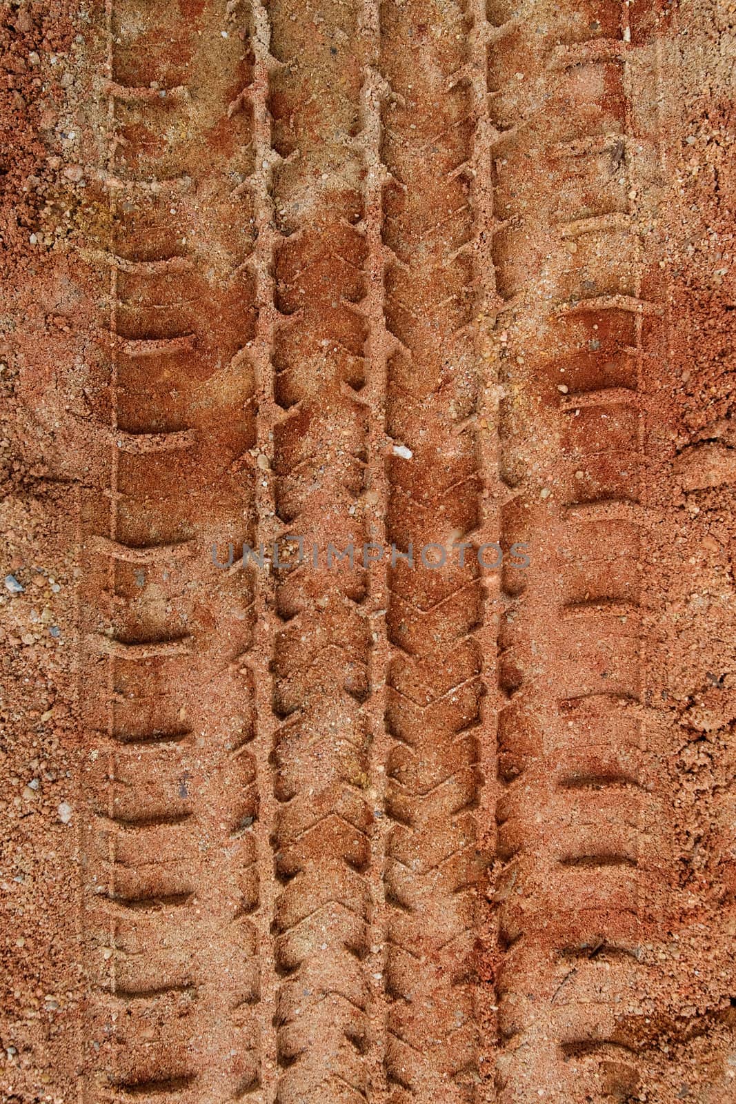 Tire Tracks in the Sand