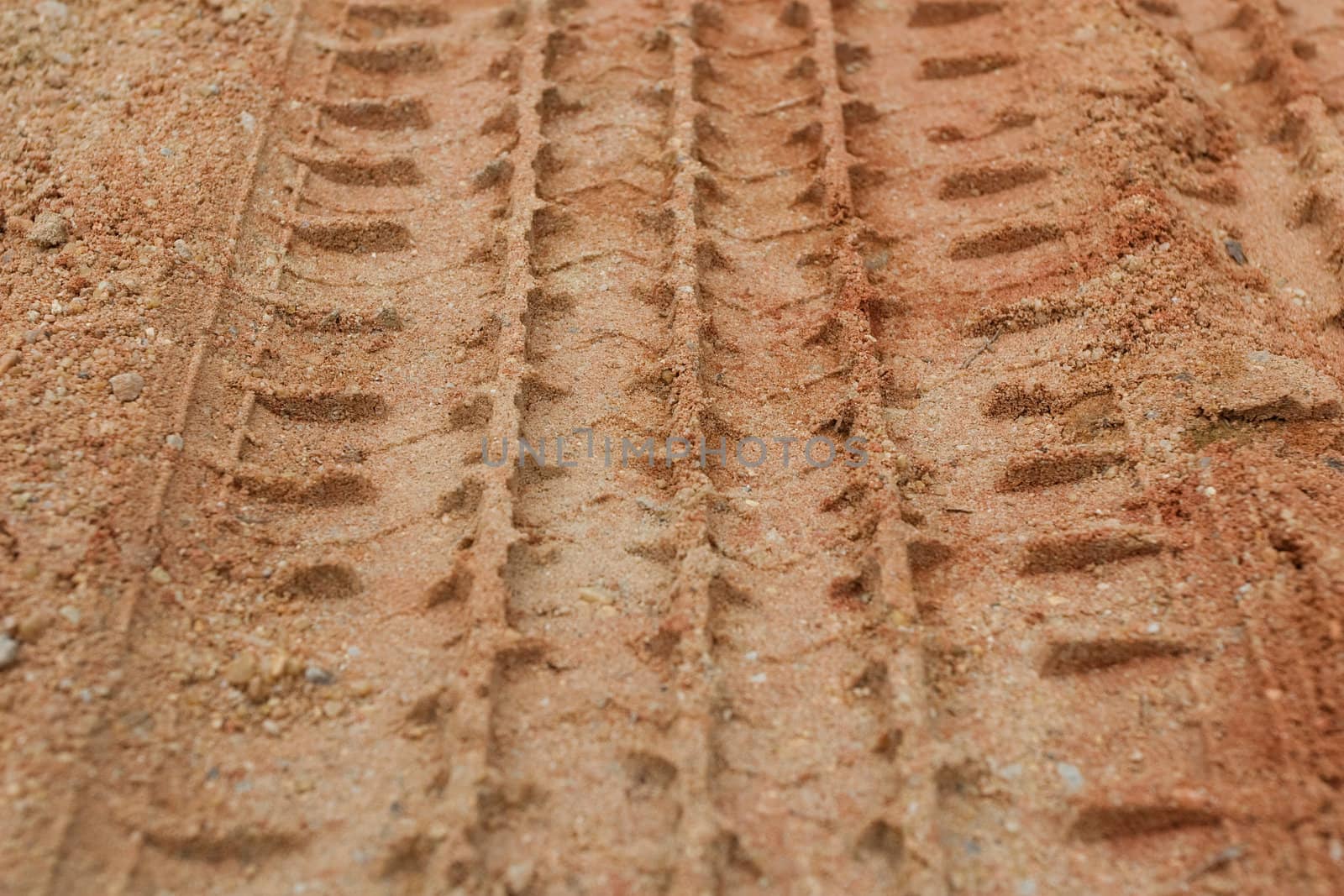 Tire Tracks in the Sand