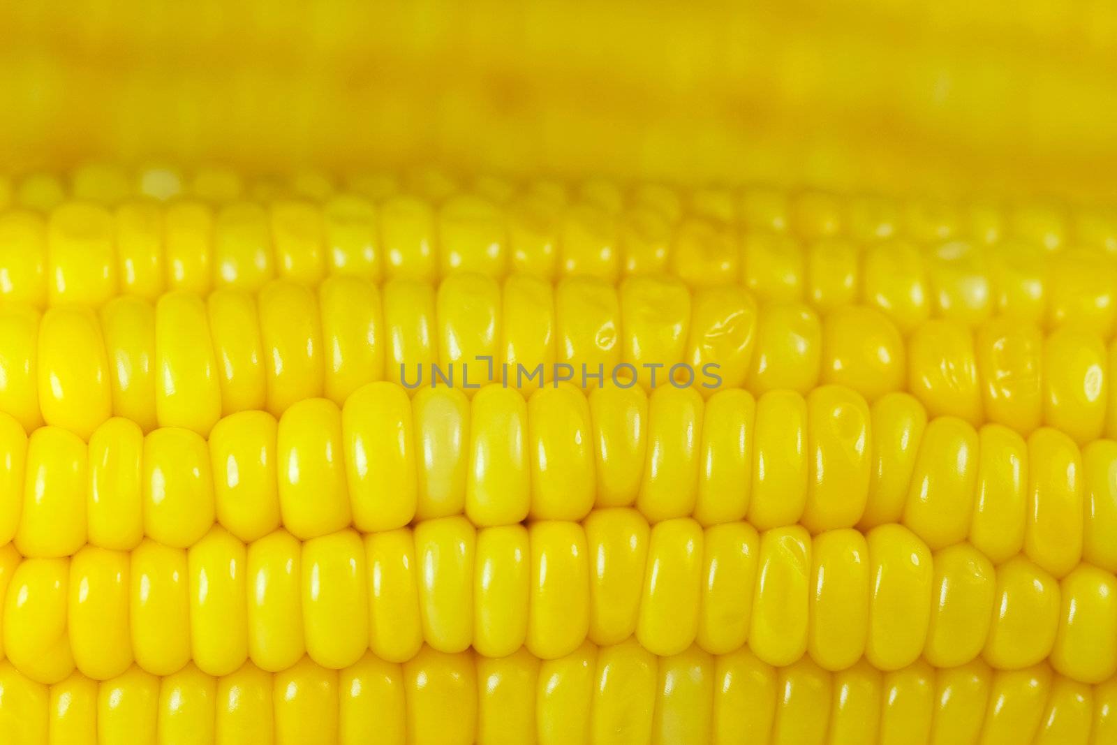 Sweet corn background