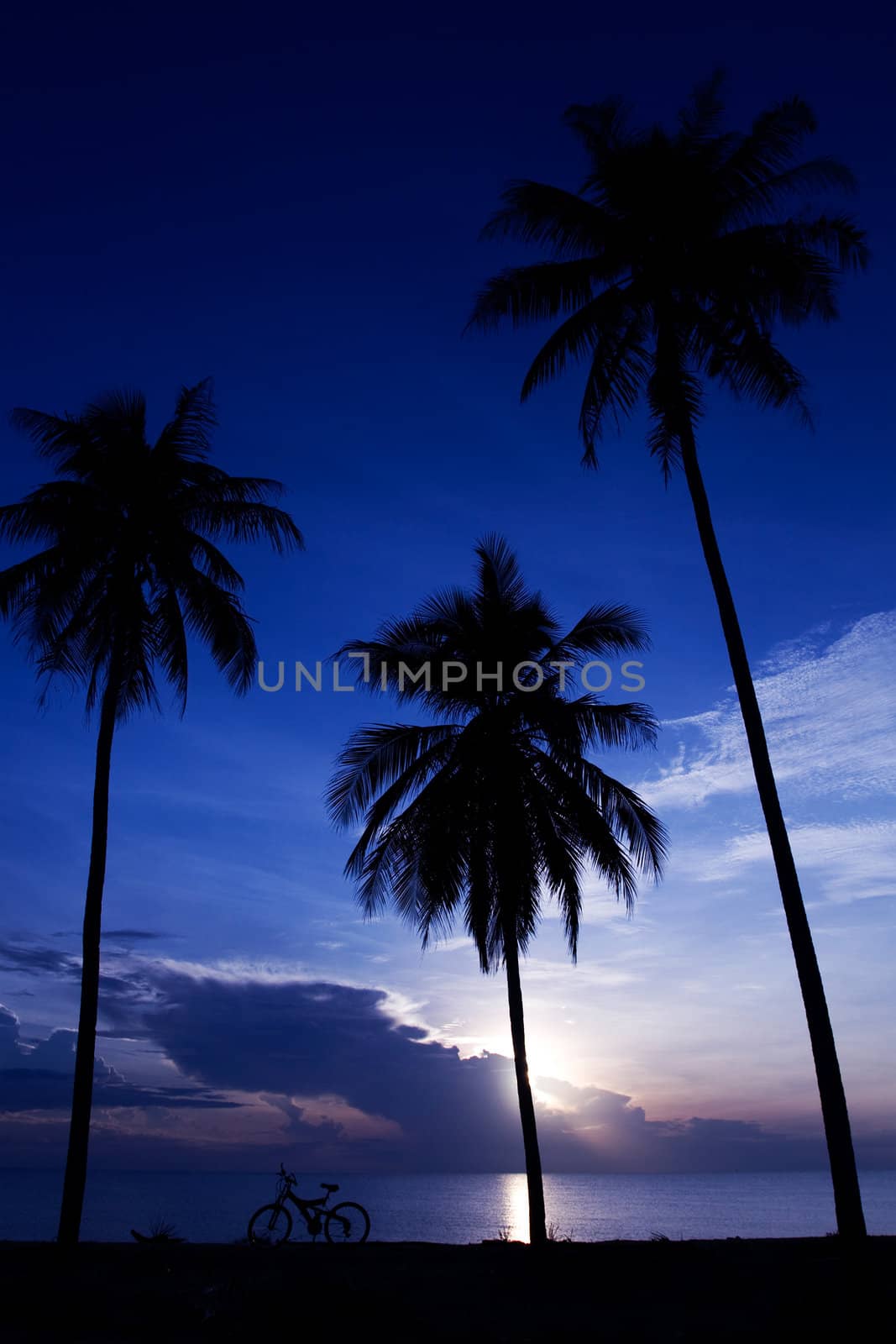 Silhouette of a Bike on the Beach