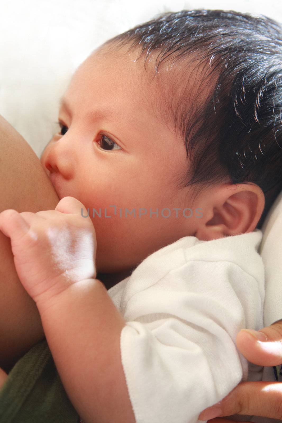 newborn baby breast feeding