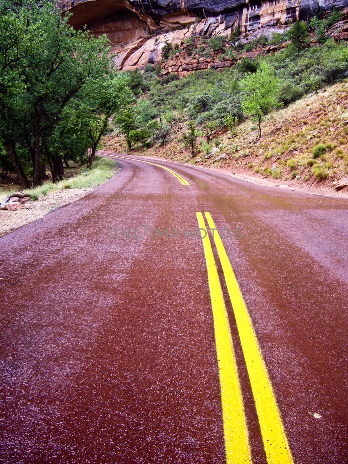 Red road through Zion Canyon at Zion National Park