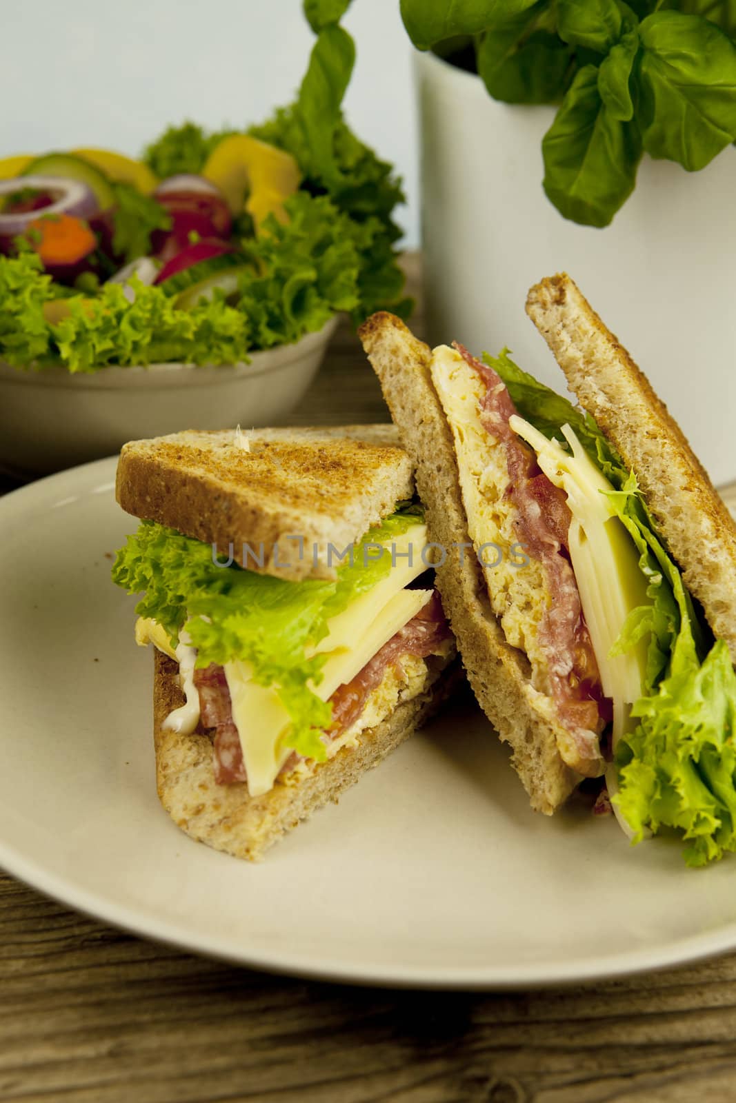 fresh tasty club sandwich with cheese and ham on wooden table