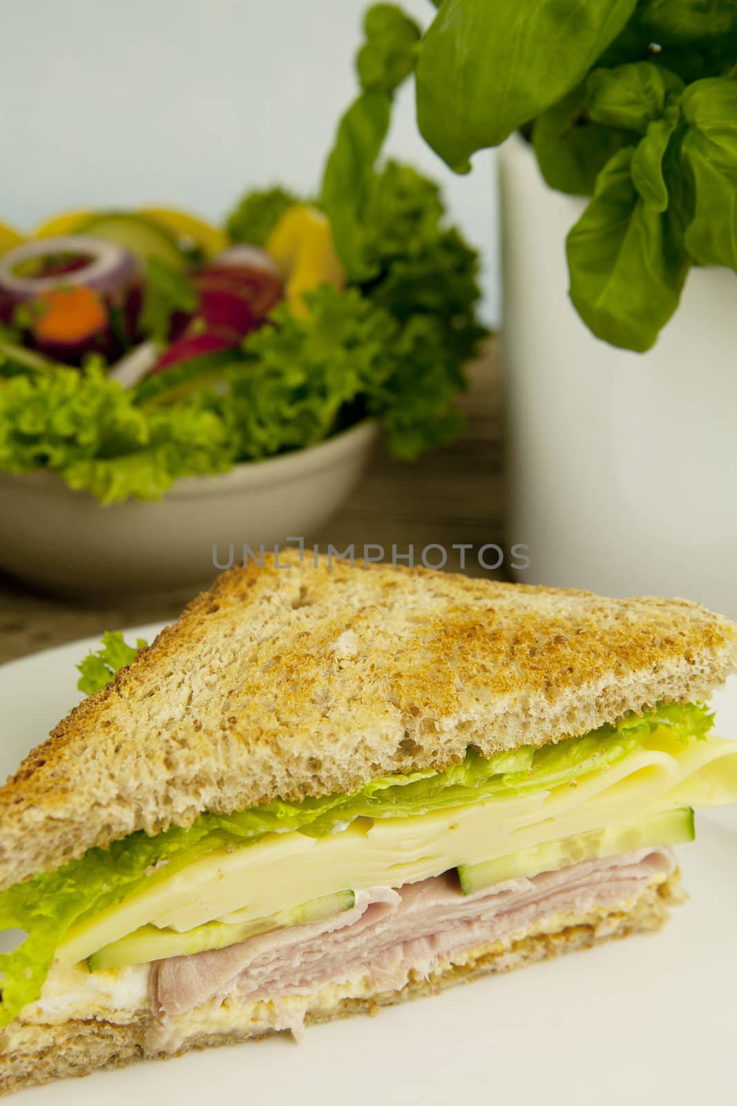 fresh tasty club sandwich with cheese and ham on wooden table