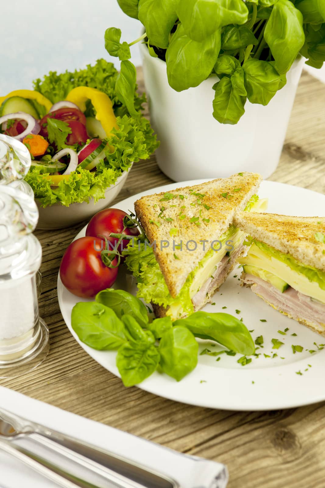 fresh tasty club sandwich with cheese and ham on wooden table