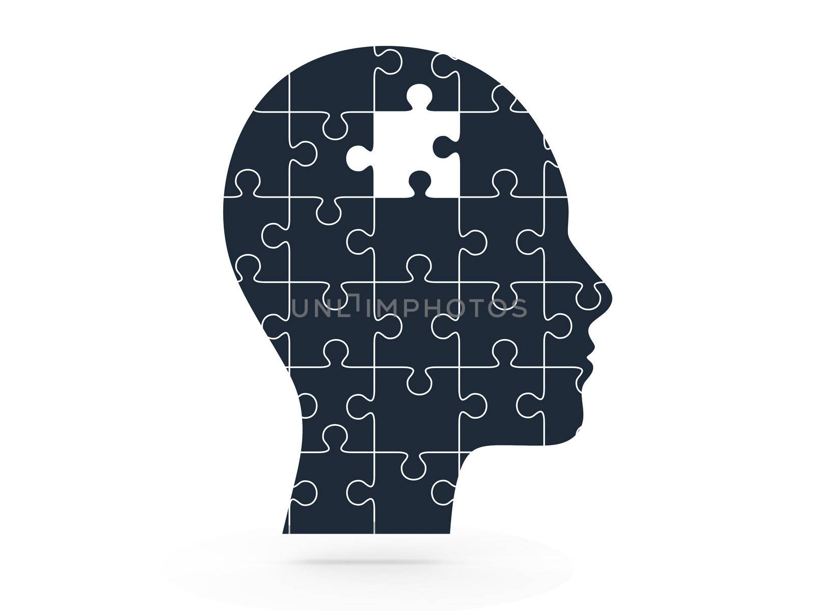 Missing puzzle piece on head, isolated on white.