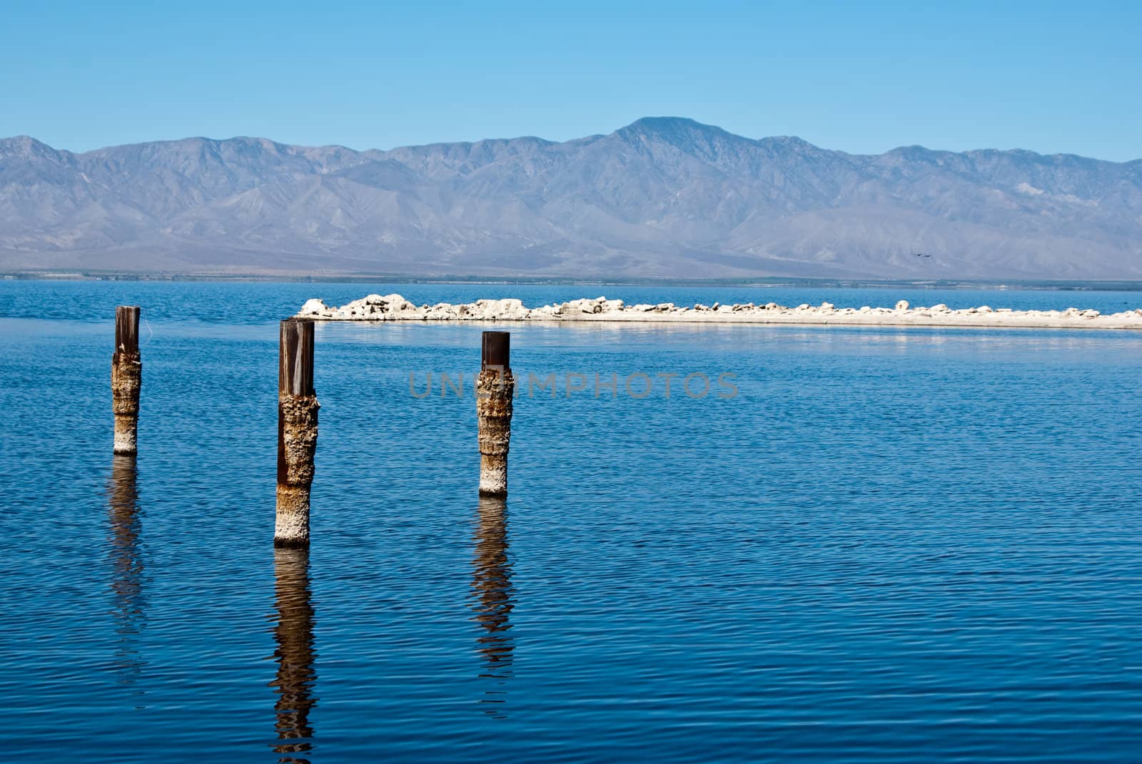 Posts reflect in water at Salton Sea by emattil