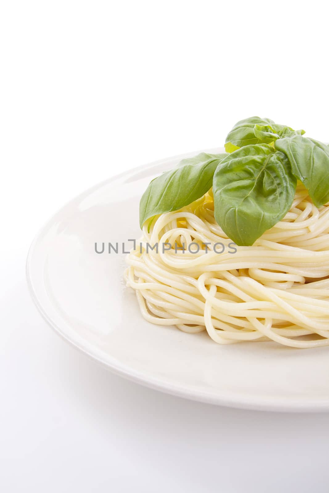 fresh delicious pasta with basil isolated on white background