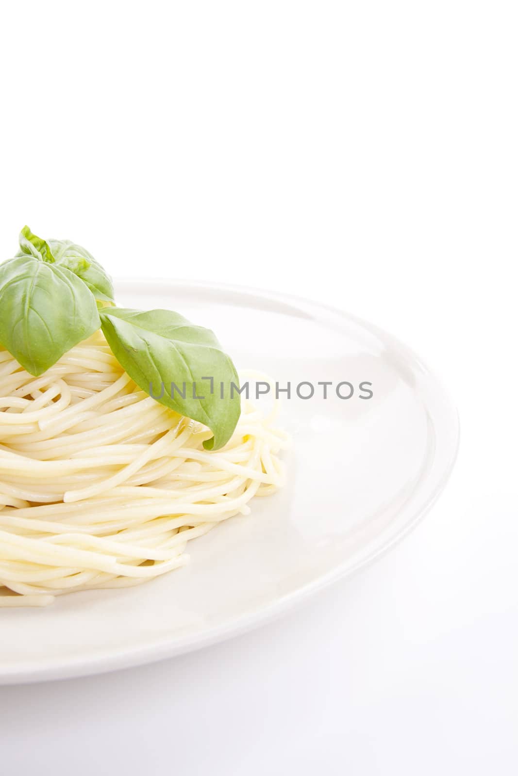 fresh delicious pasta with basil isolated on white background