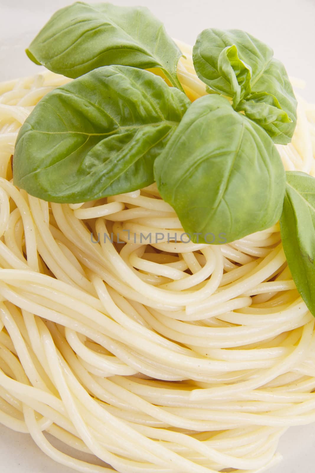 fresh delicious pasta with basil isolated on white background