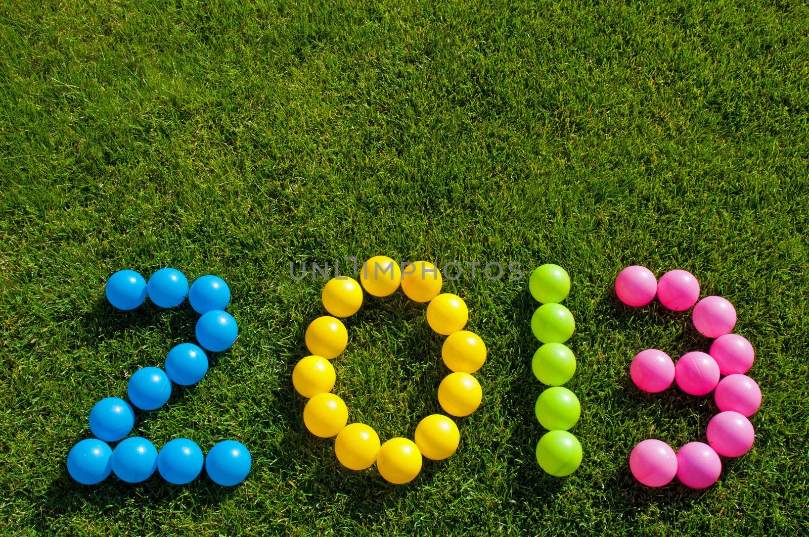 Happy New Year 2013 against a green grass background