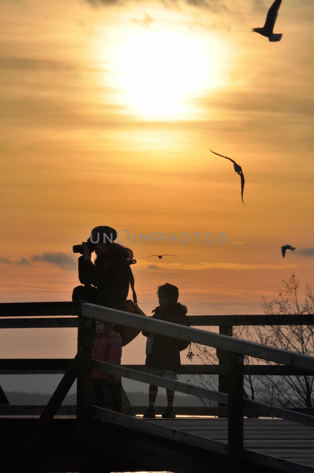 A photographer and a child in the sunset. Seagulls in the sky.