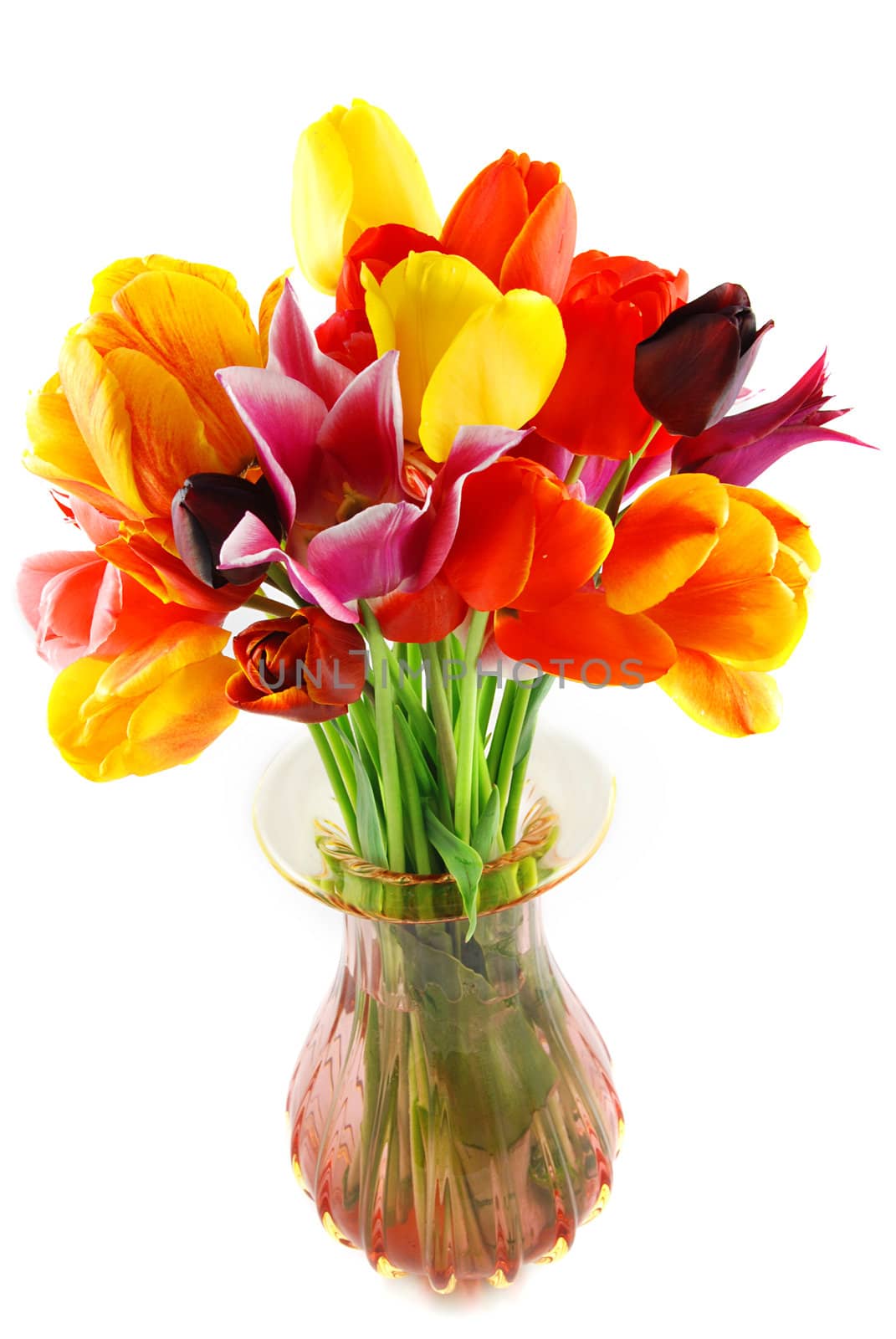 Bunch of beautiful spring flowers - colorful tulips against white background