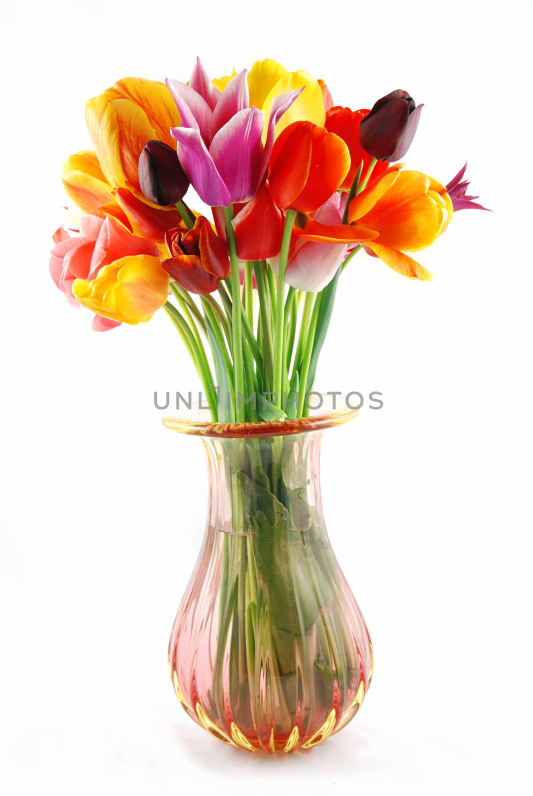 Bunch of beautiful spring flowers - colorful tulips against white background