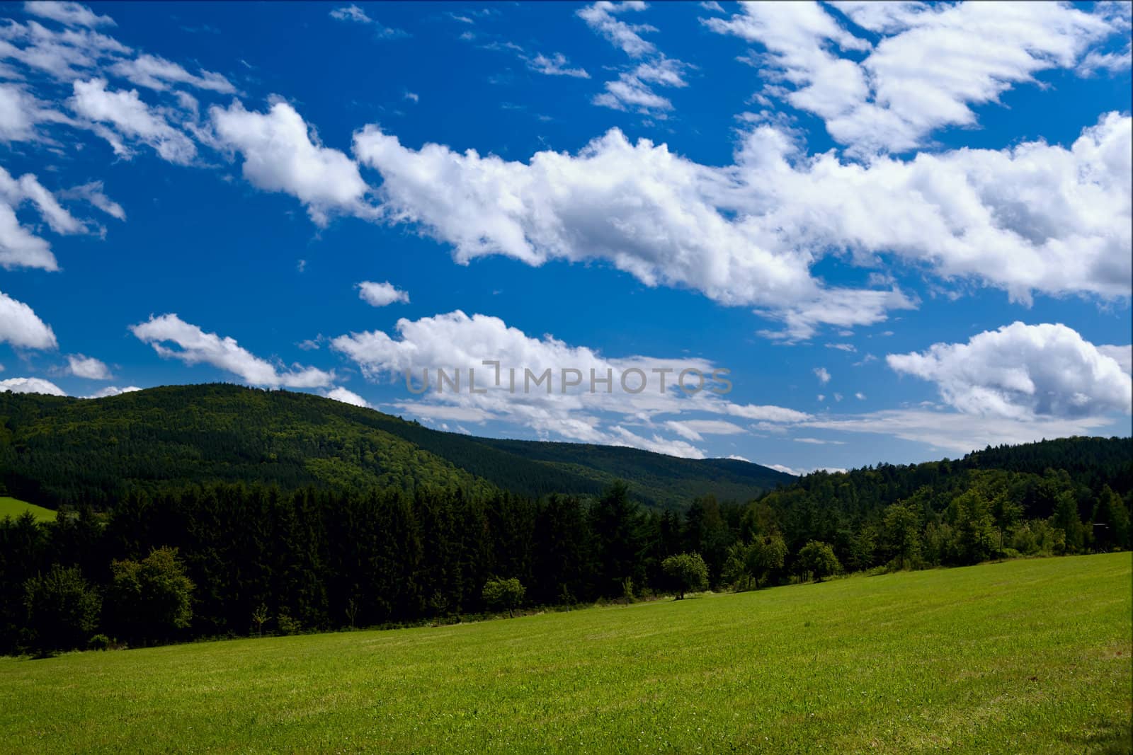 summer mountains covered with green forests and beautiful sky