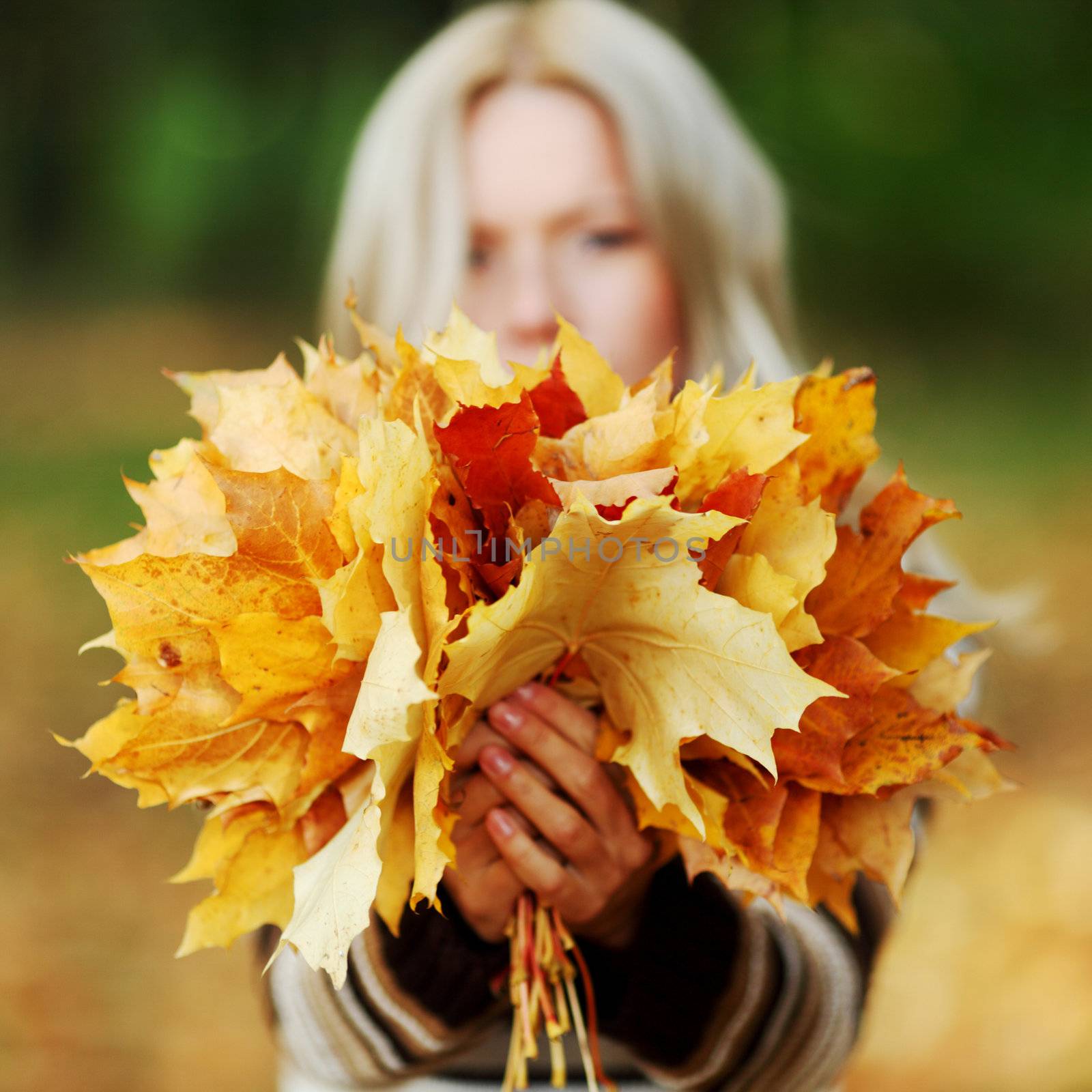 woman portret in autumn leaf close up