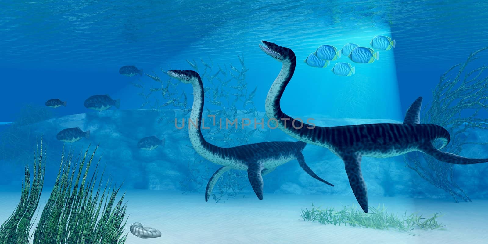 Plesiosaurus Dinosaur by Catmando