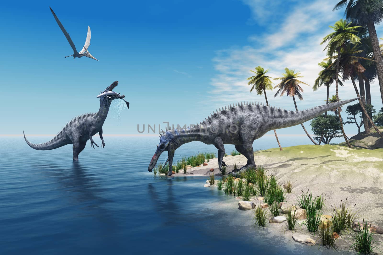 A large fish is caught by a Suchomimus dinosaur while a flying Pterosaur dinosaur watches for scraps to eat.