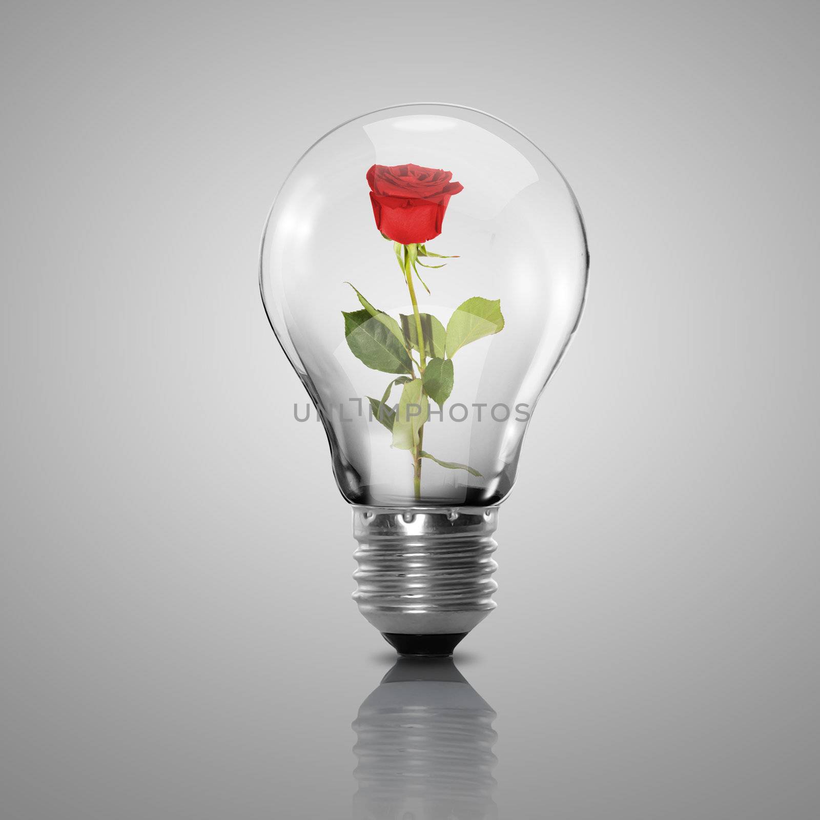 Electric light bulb and flower inside it by sergey_nivens