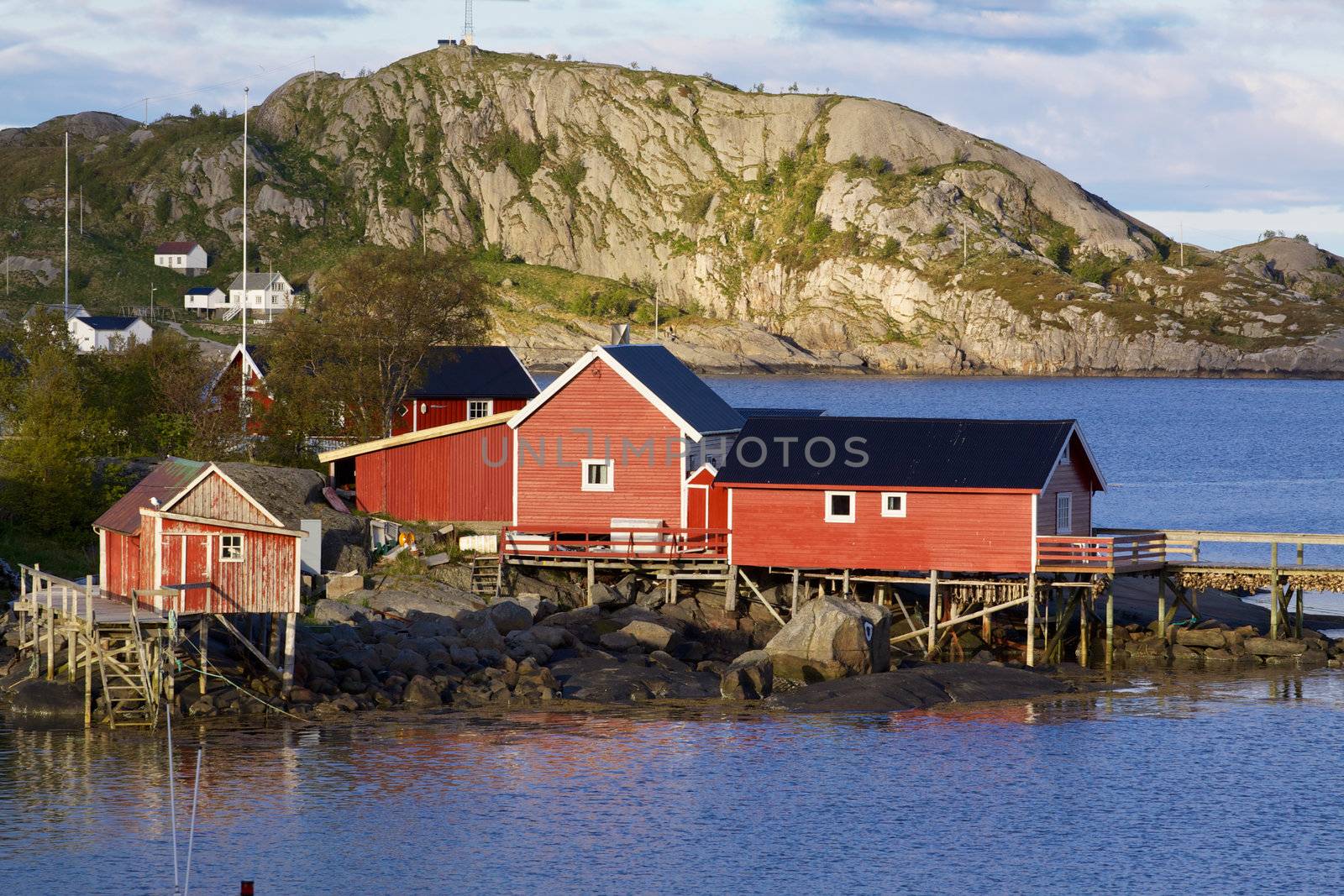 Traditional red fishing rorbu huts by the fjord in town of Reine on Lofoten islands