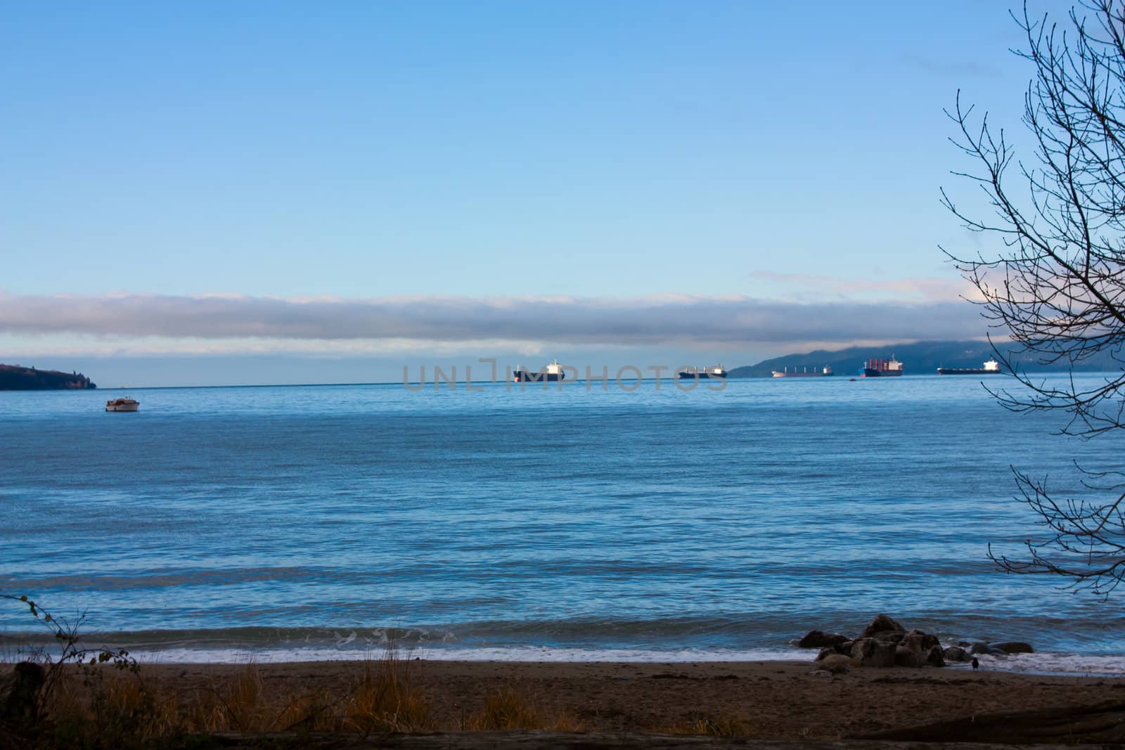 Cargo ships in the harbor at sunset.