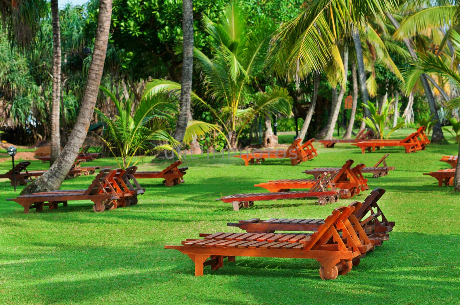 Beach beds between tropical trees on green grass
