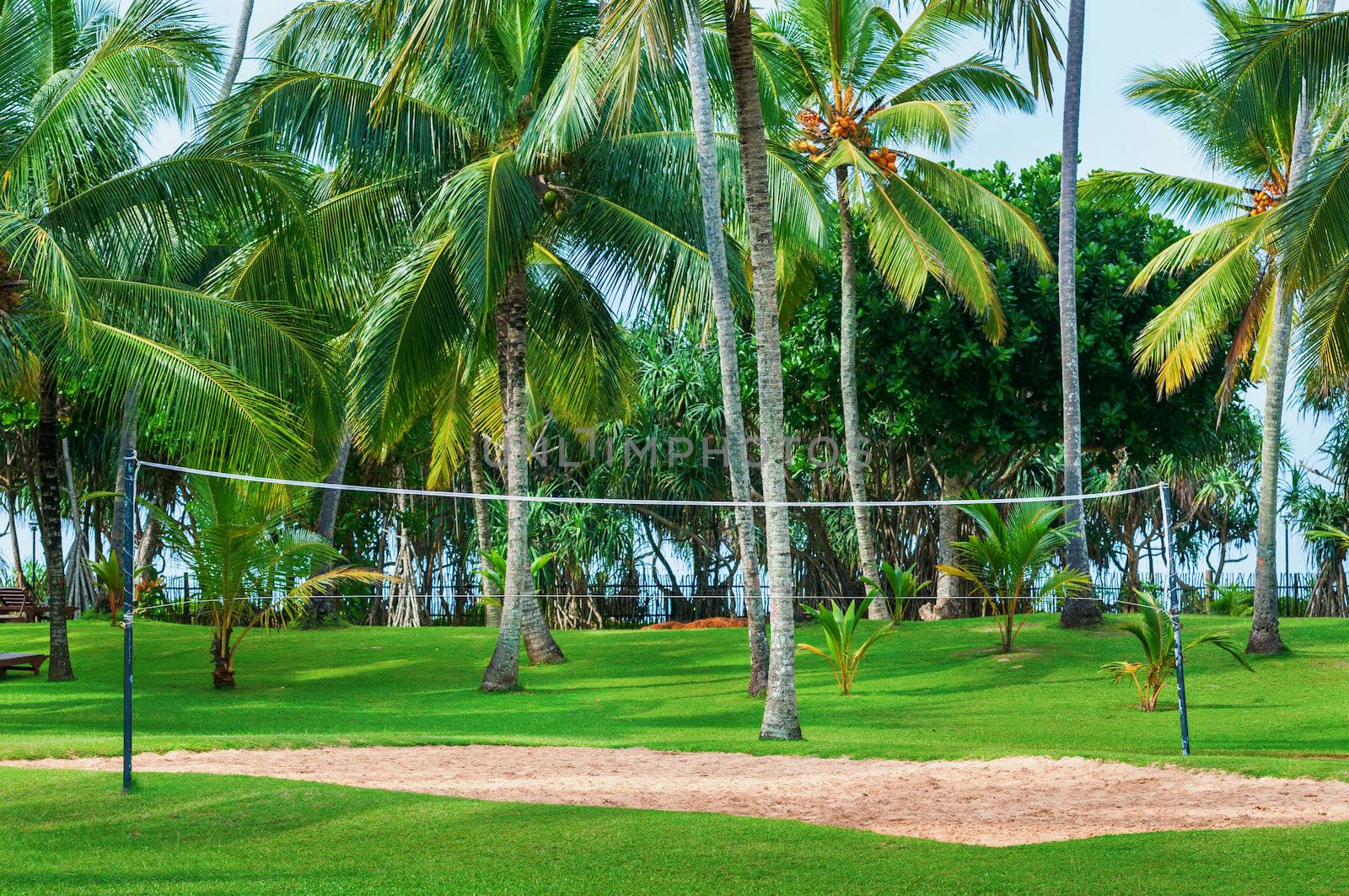Tropical vacation resort with volleyball court, palm trees and green grass. Focus on the net.