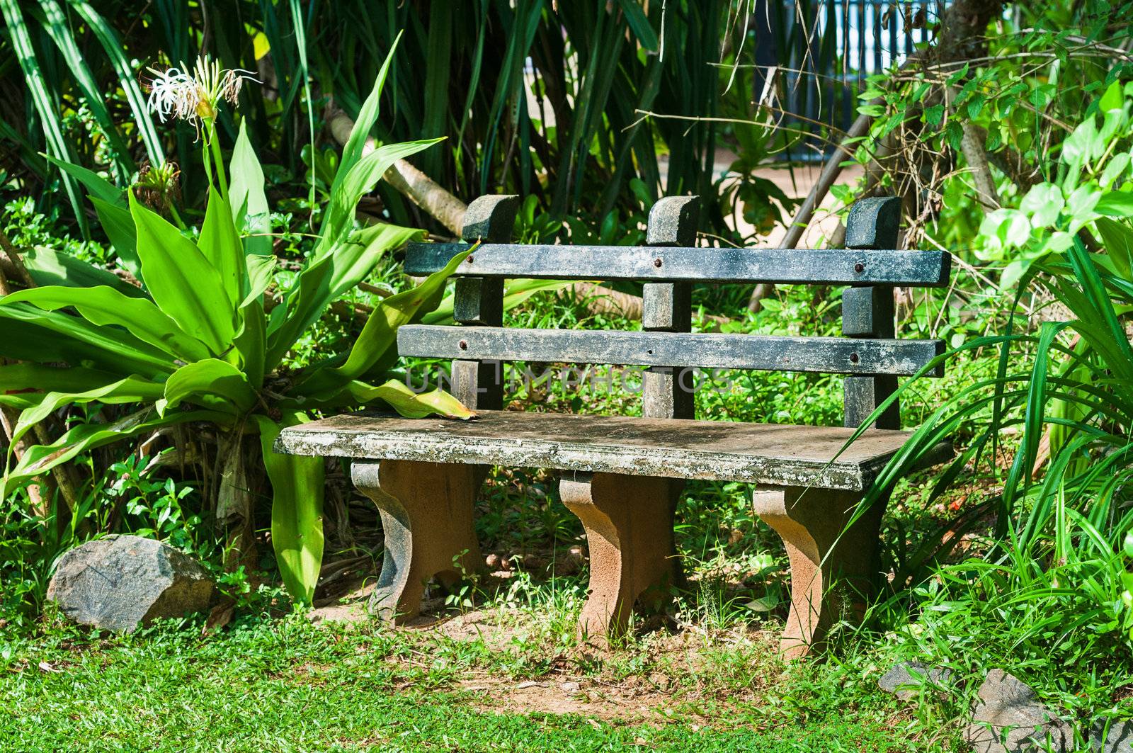 Green, tropical garden with a custom bench 