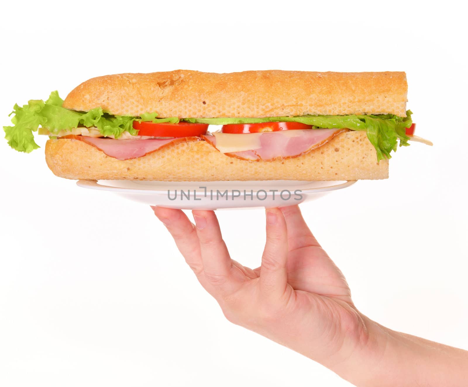 Fresh sandwich with meat and salad on plate in hand isolated on white background