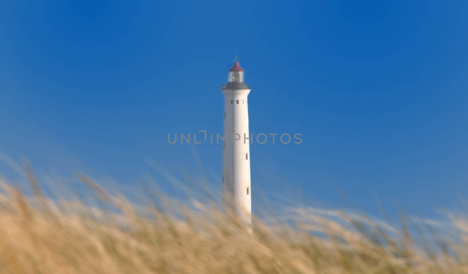A white lighthouse behind a dune.