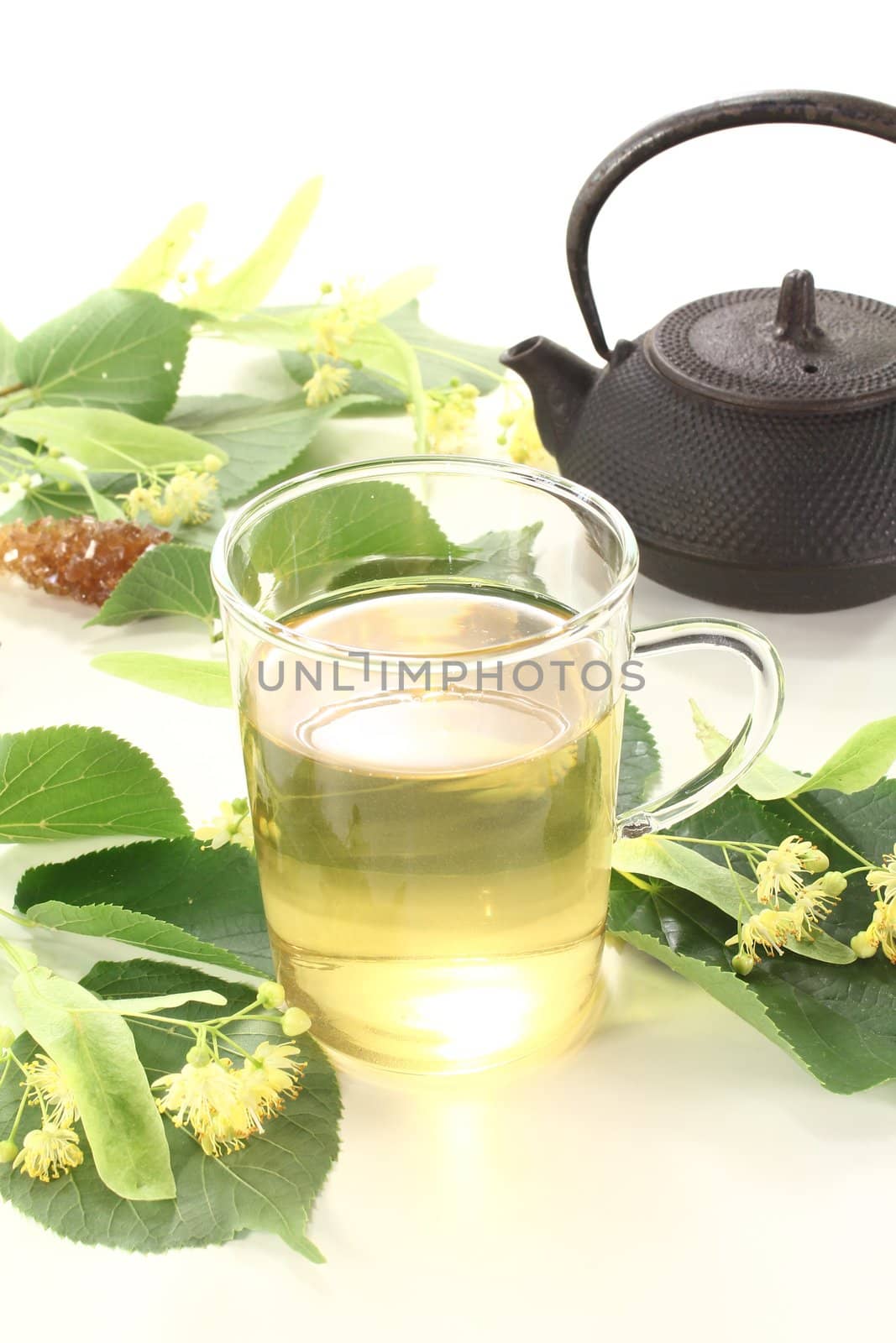 fresh lime blossom tea with leaves on a light background