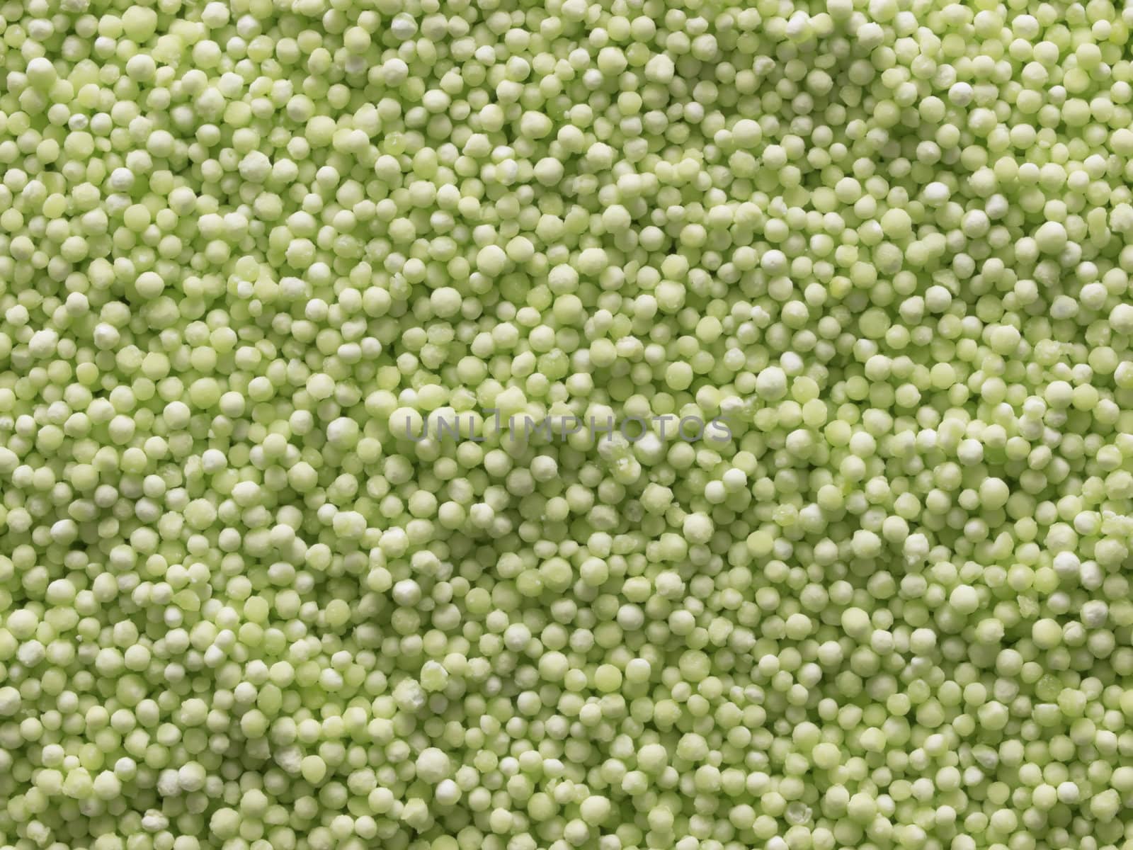 close up of green sago pearls food background
