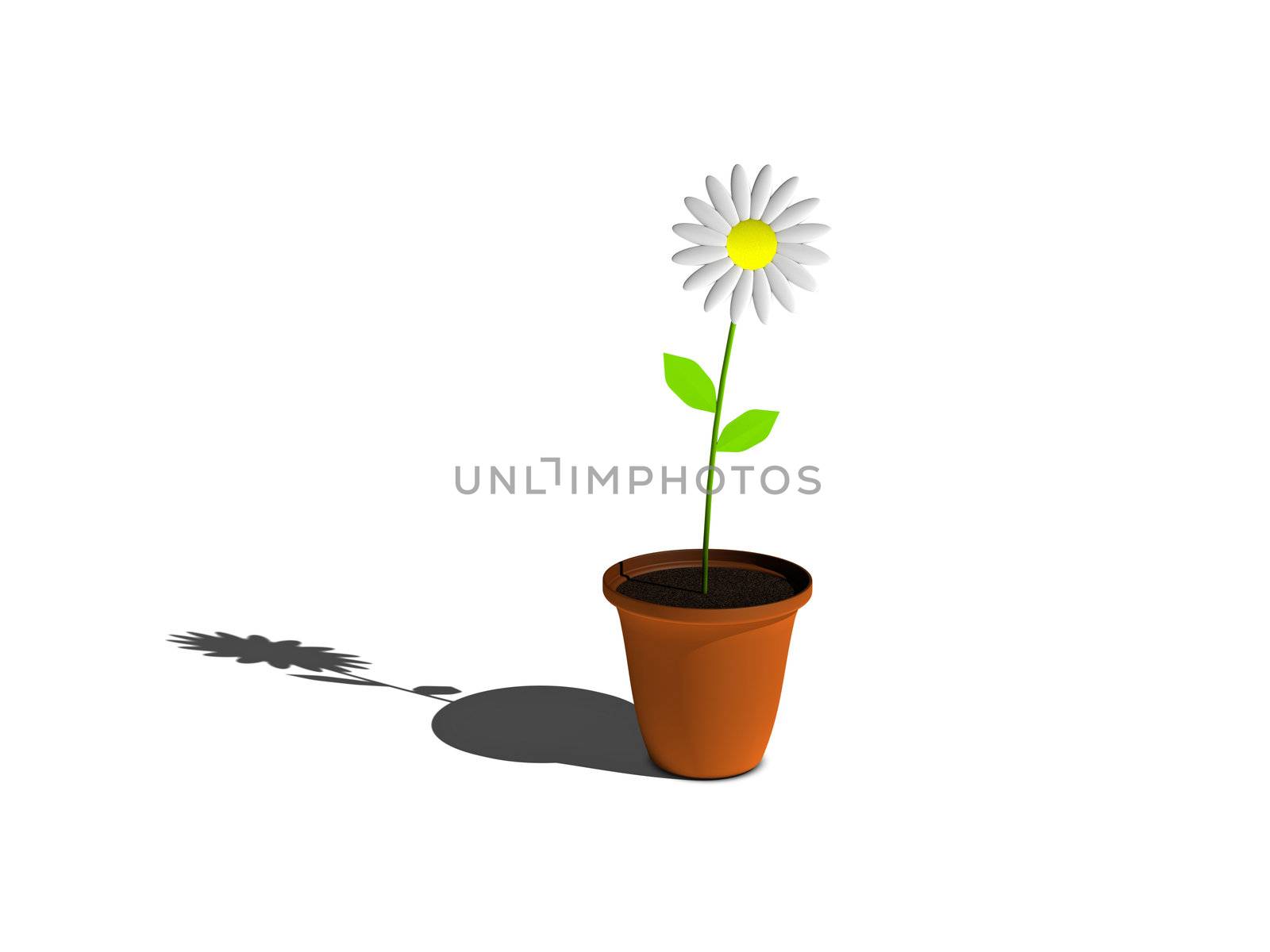 3D Flower in a Pot with shadow