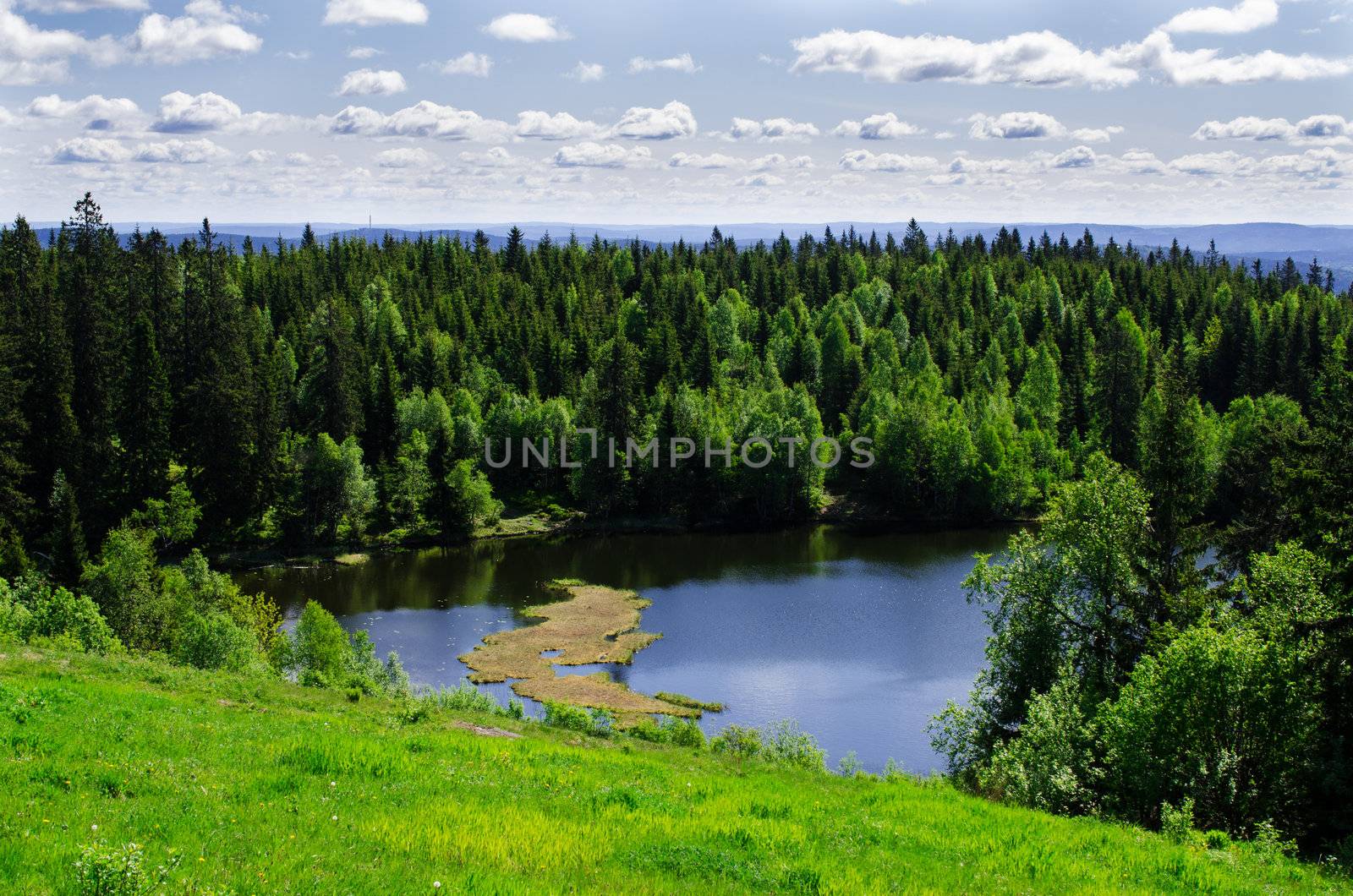 Lake in the spring forest Oslo, Norway