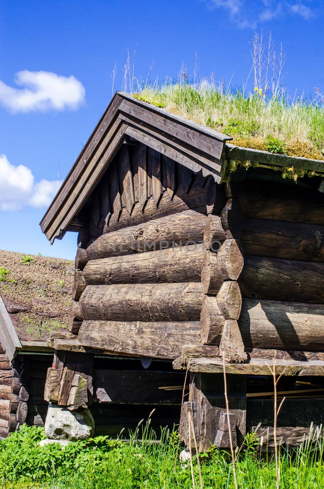 Norwegian typical house with  grass roof