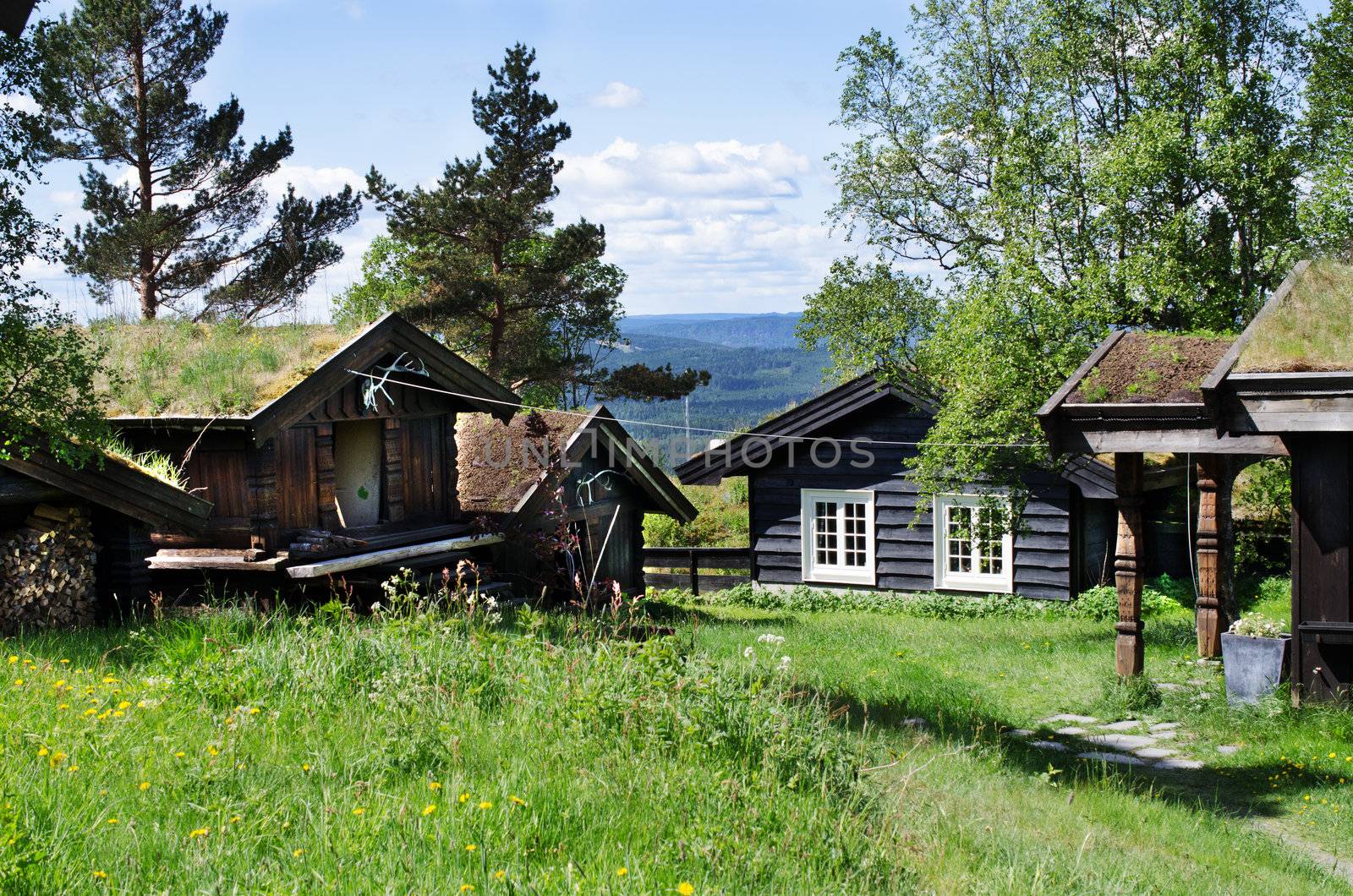 Typical Norwegian houses in the village by Nanisimova