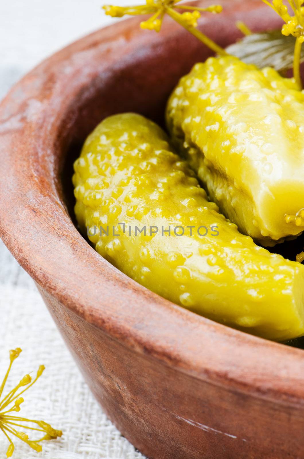 Pickled cucumbers in a clay bowl close up