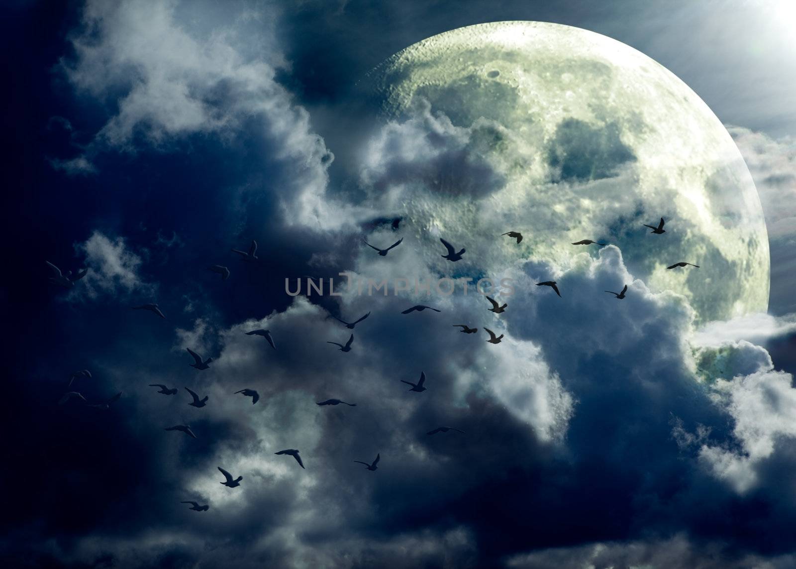 full moon landscape and flock of birds