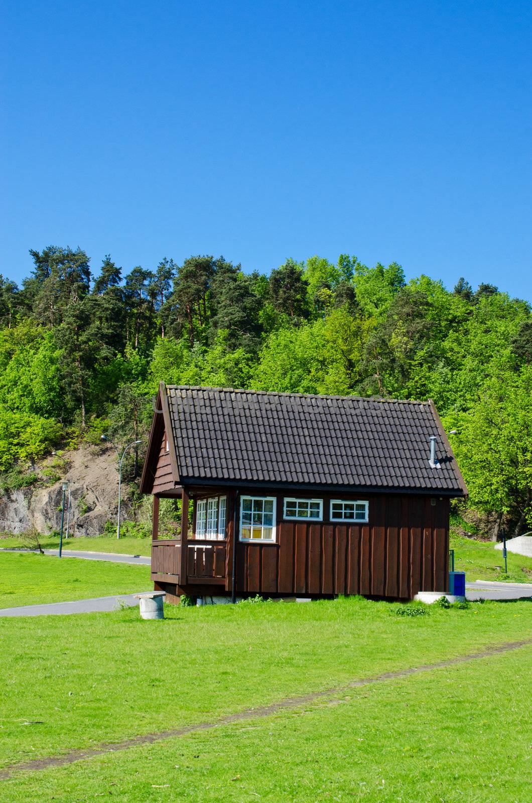 Typical Norwegian house on meadow