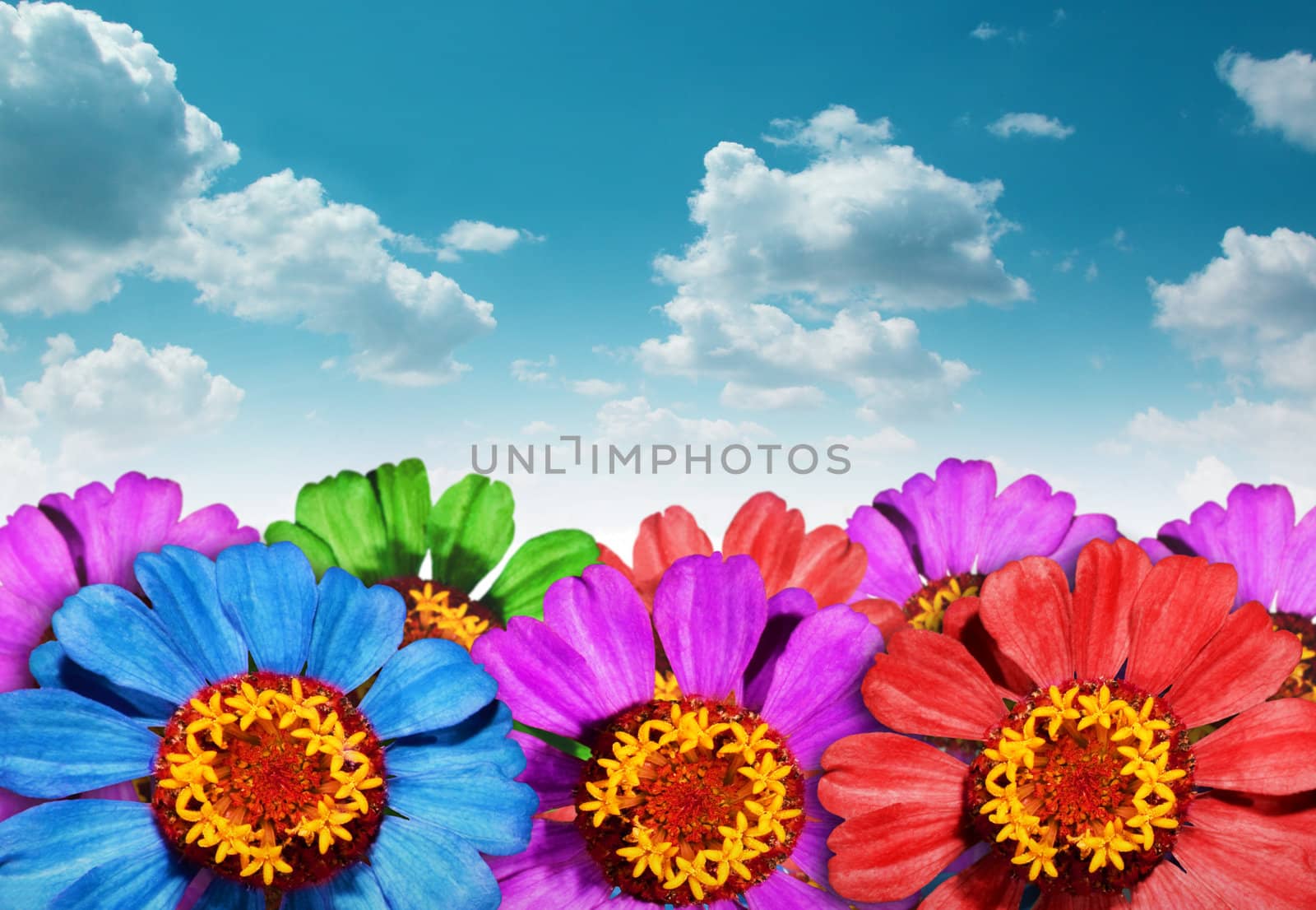 Floral background with blue sky