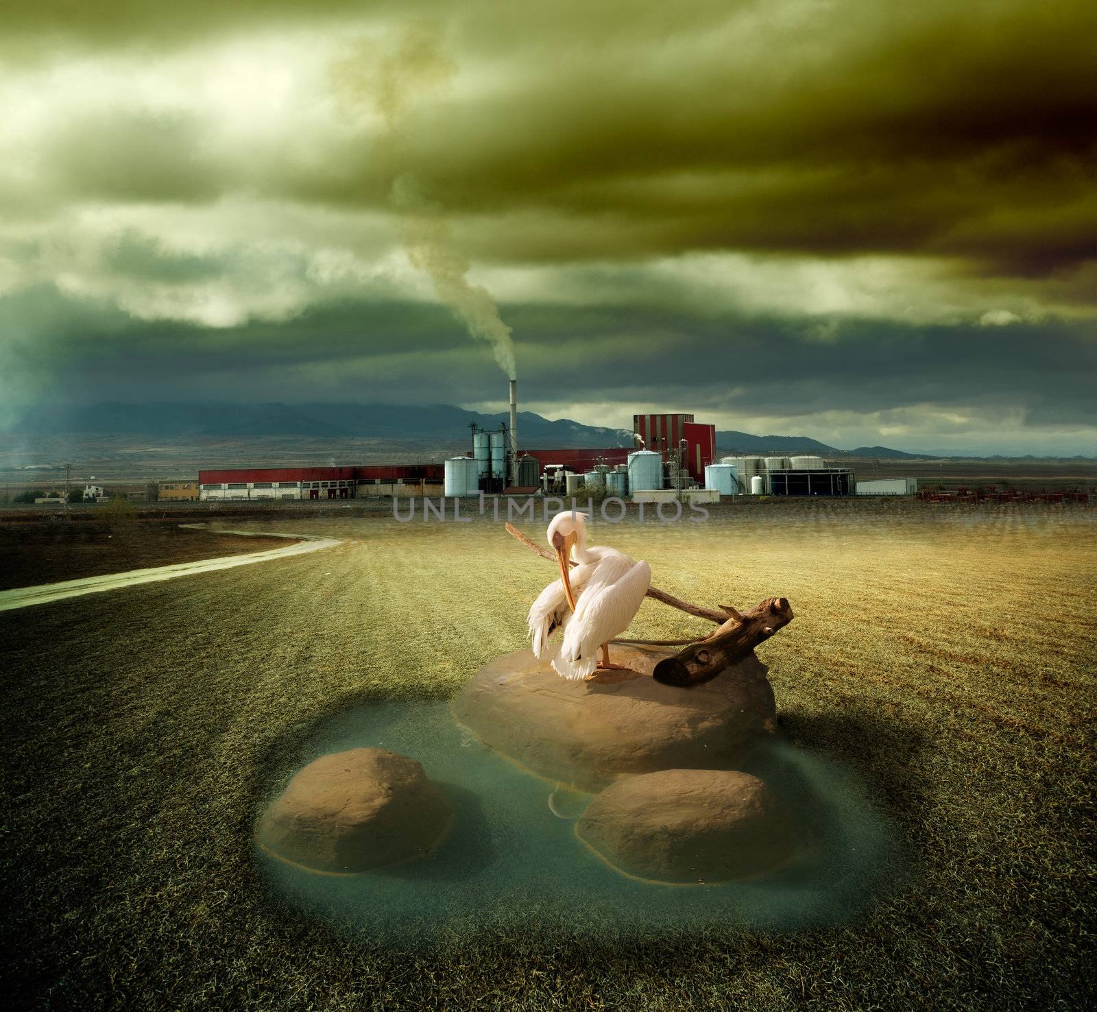 dreamscape  of ecosystem and pollution concept