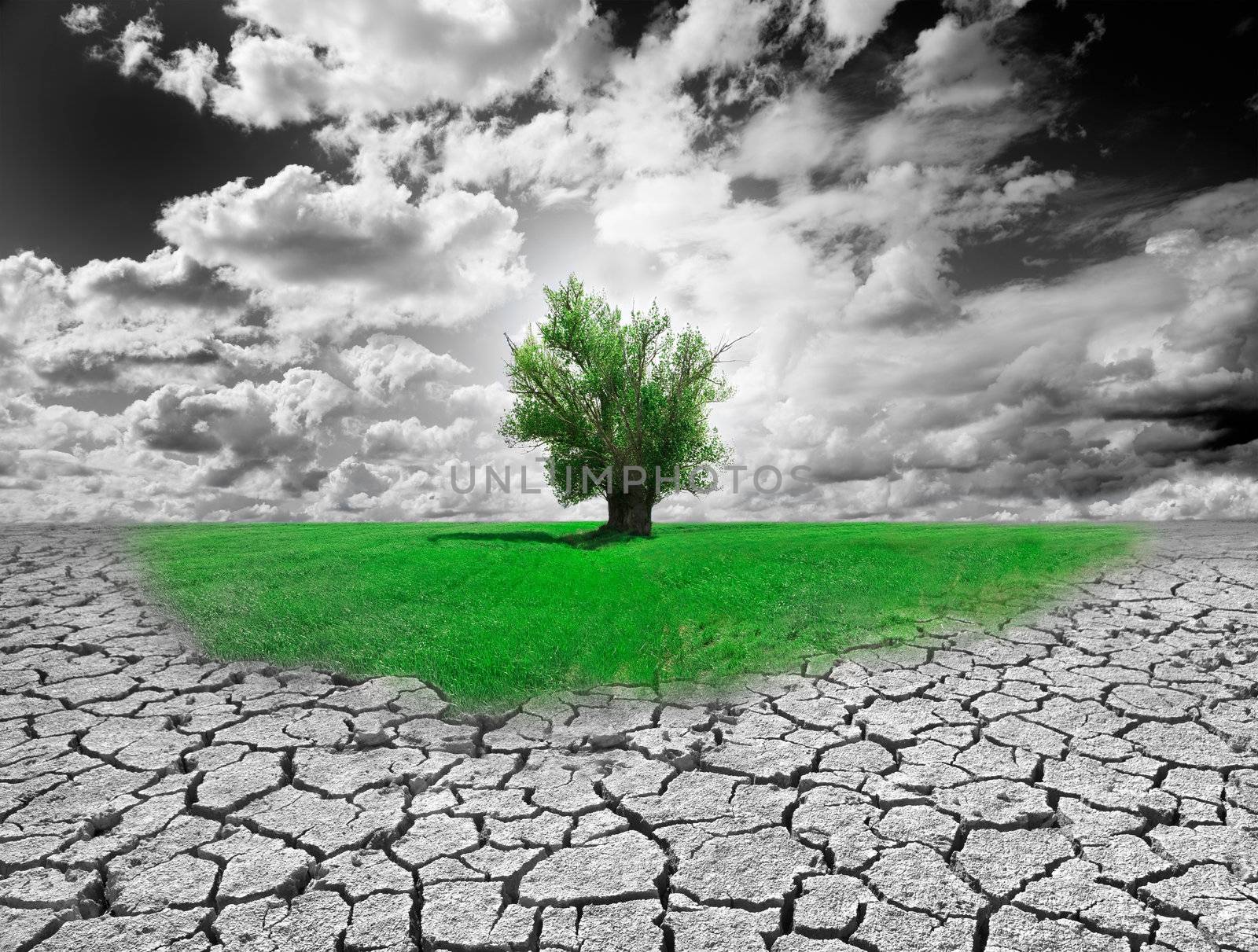 Concept of environment with tree and dry soil