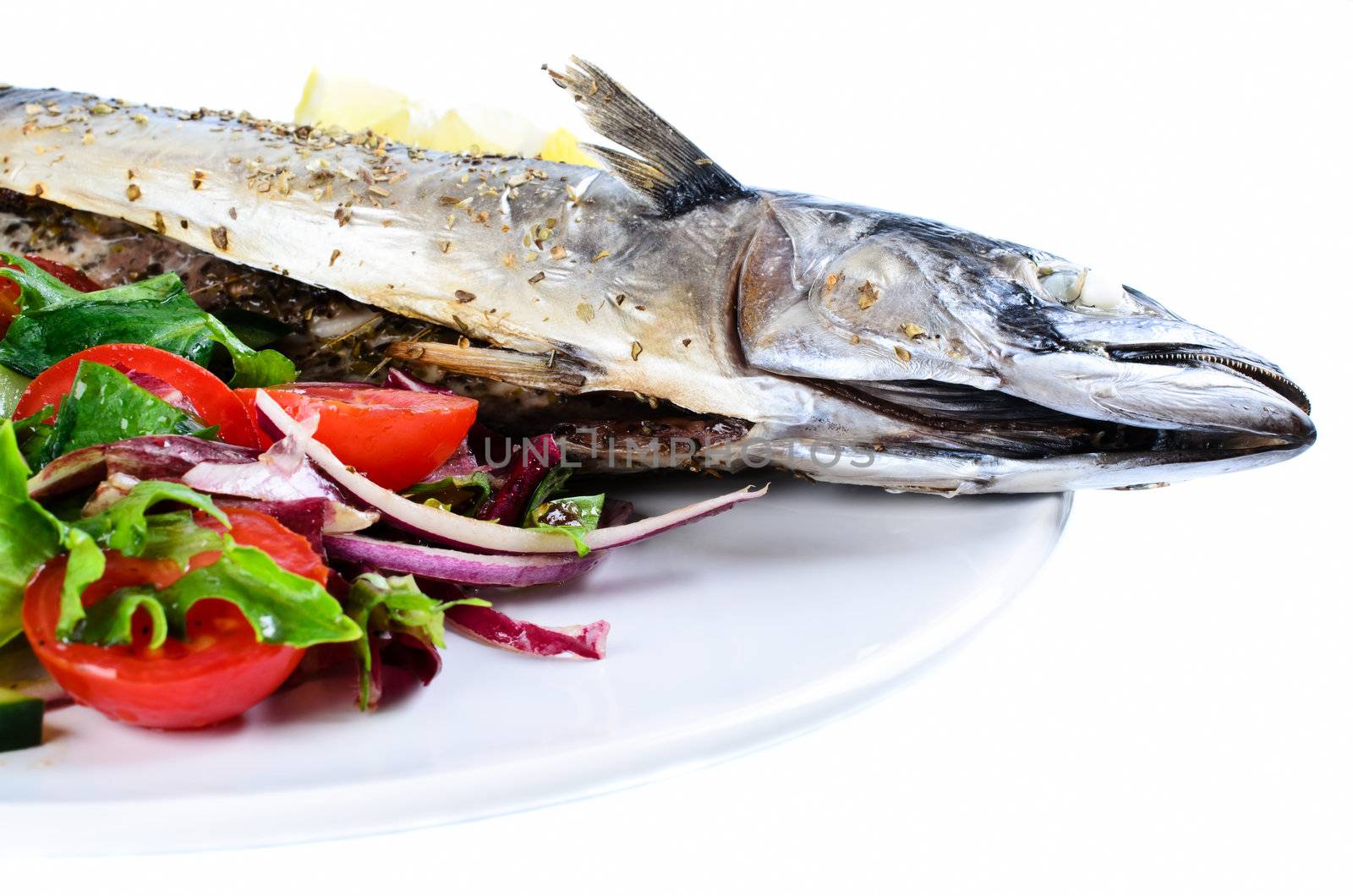 Grilled mackerel with vegetable salad isolated