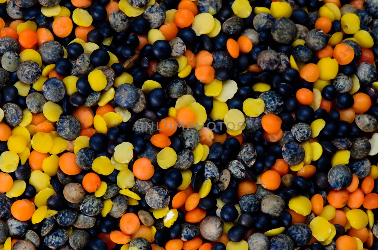 Mix of lentils background close up